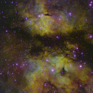 Illustration for article titled Nebulas And Neighboring Galaxies, Photographed From A Garden Shed